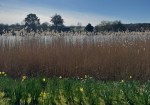 Seasonal change nature image
