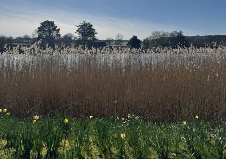 Seasonal change nature image