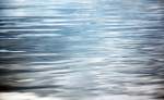Reflections in the water